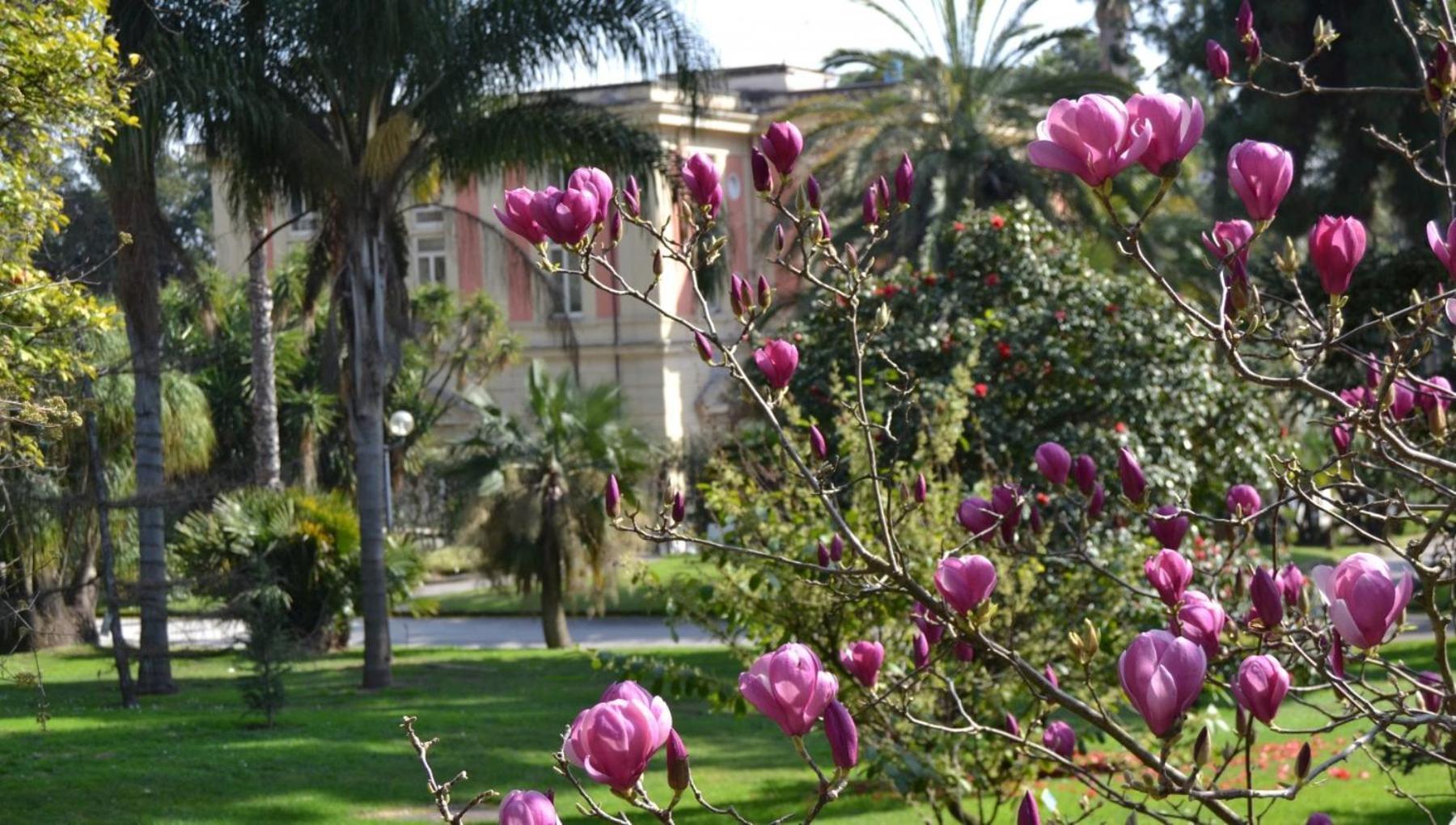 לינה וארוחת בוקר נאפולי Casina Via Foria מראה חיצוני תמונה